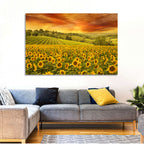Sunflower Field at Golden Hour Wall Art
