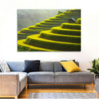 Golden Rice Terraces Wall Art