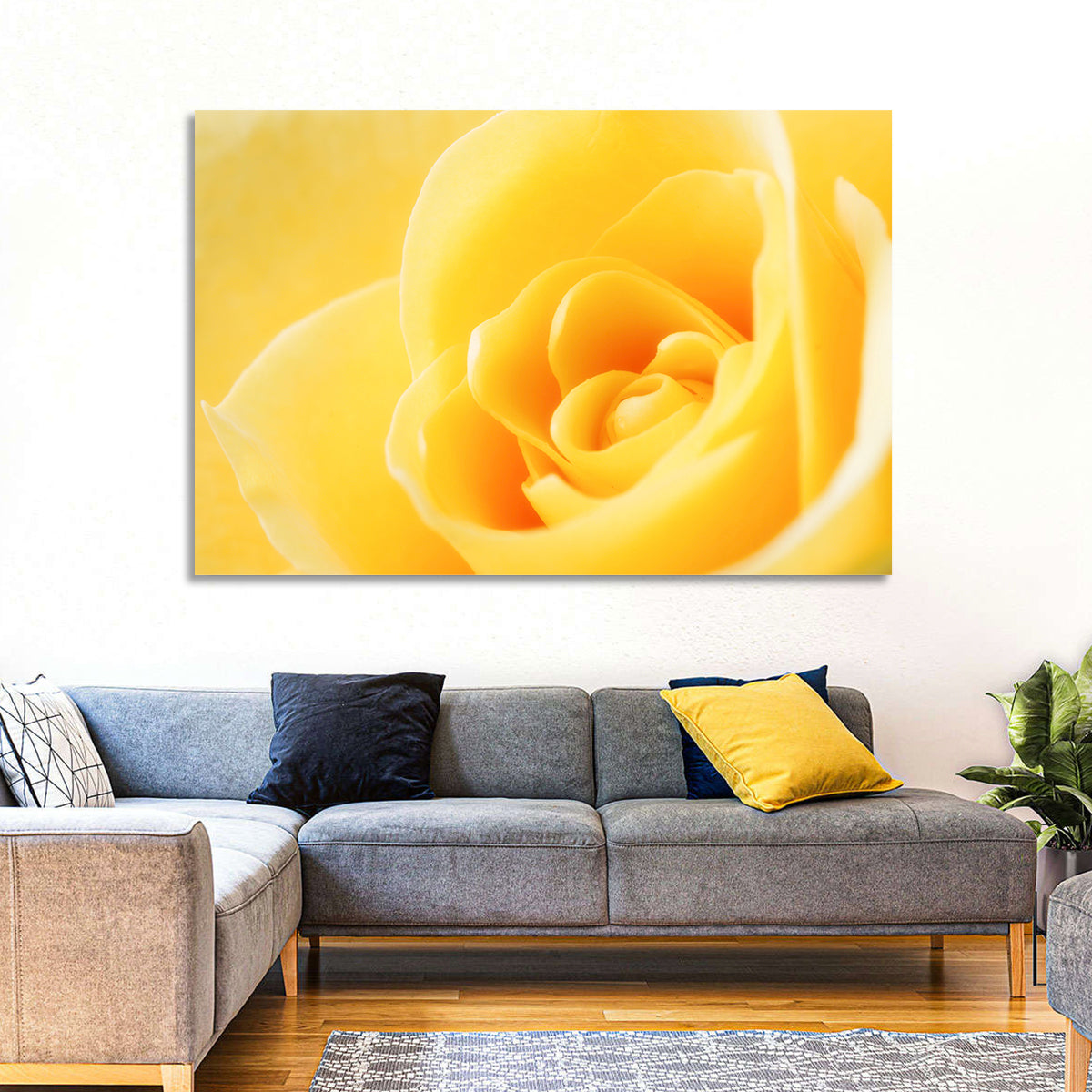 Soft-lit Yellow Rose Close-up Wall Art in a room, landscape