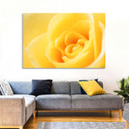 Soft-lit Yellow Rose Close-up Wall Art