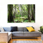Louisiana Cypress Swamp Wall Art