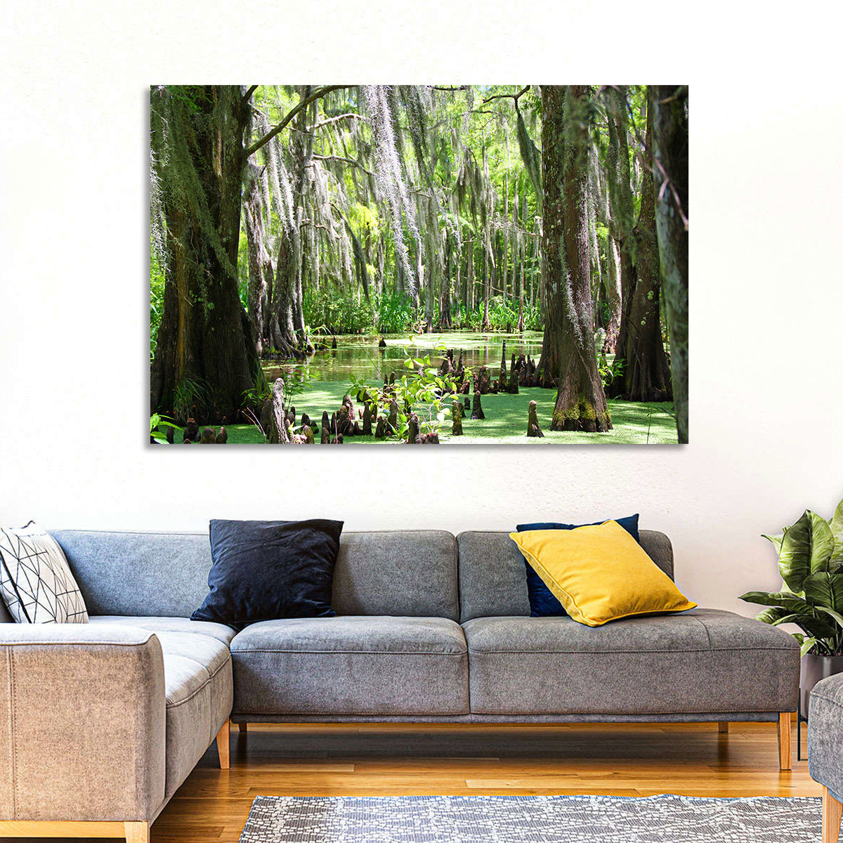 Louisiana Cypress Swamp Wall Art