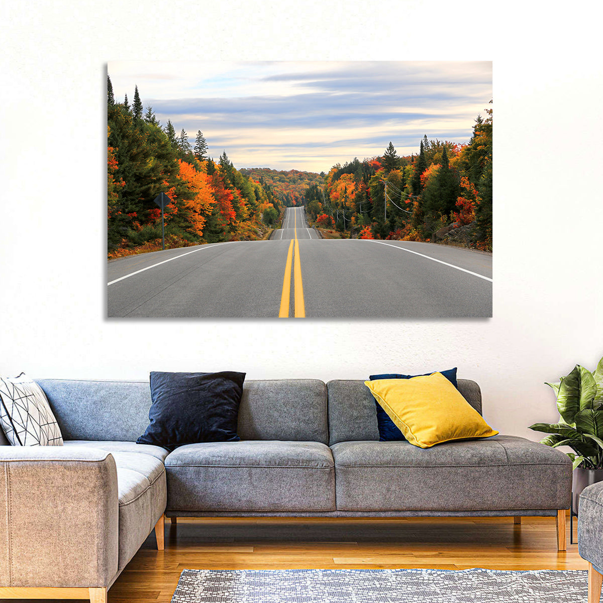 Algonquin Park Road Wall Art in a room, landscape