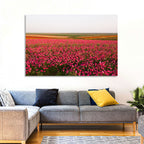 Pink Ranunculus Flower Field Wall Art