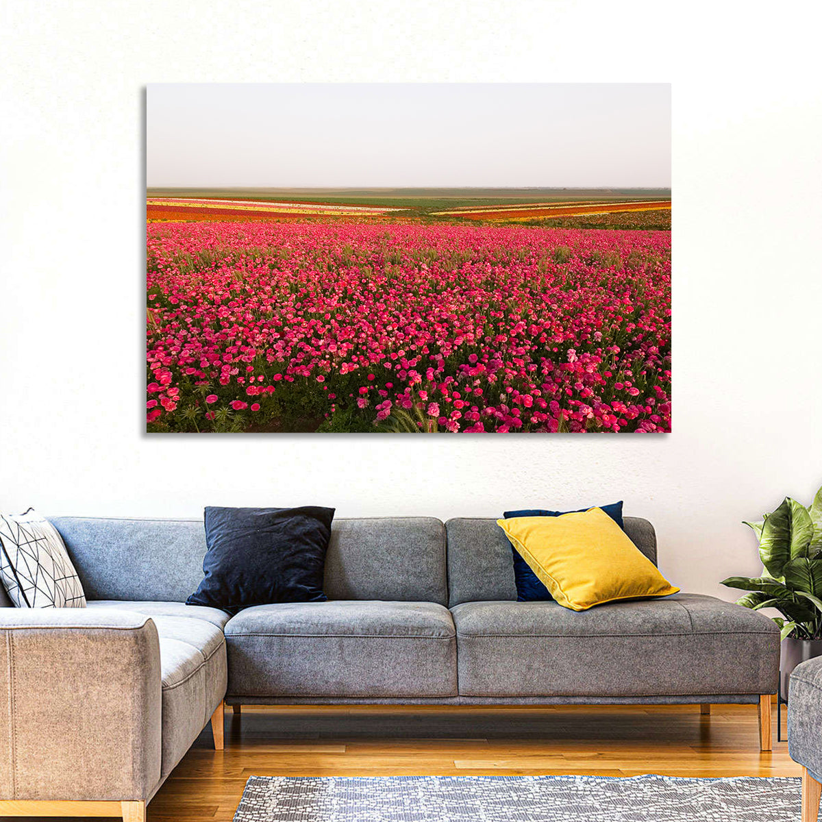 Pink Ranunculus Flower Field Wall Art
