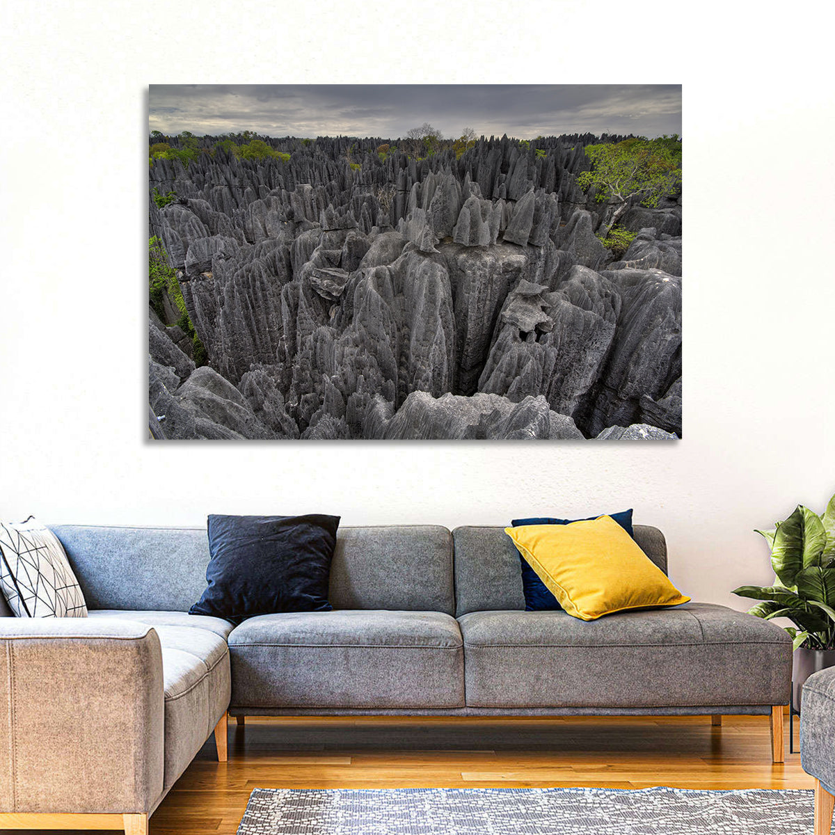 Tsingy De Bemaraha Pinnacles Wall Art in a room, landscape