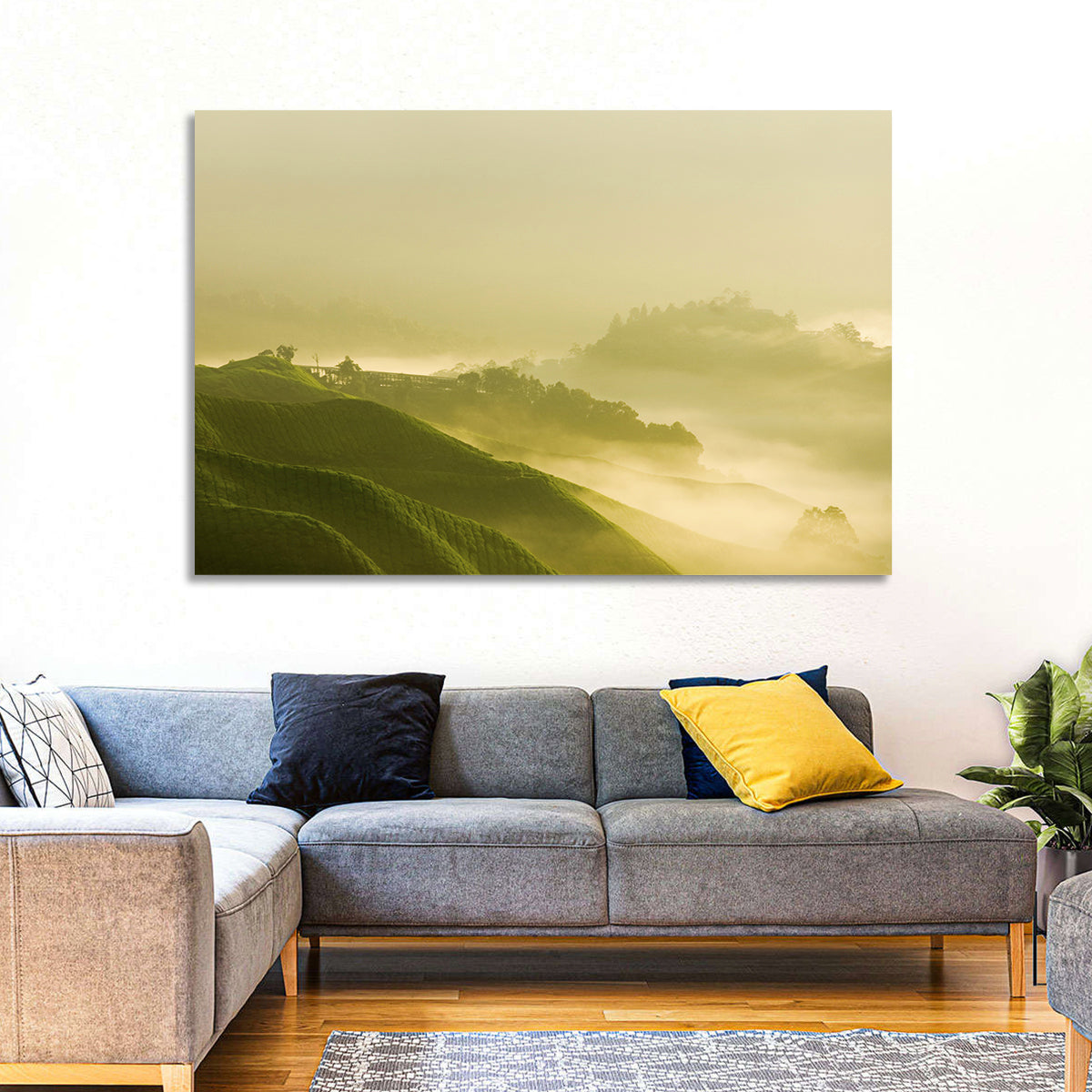 Tea Plantation Morning Mist Wall Art