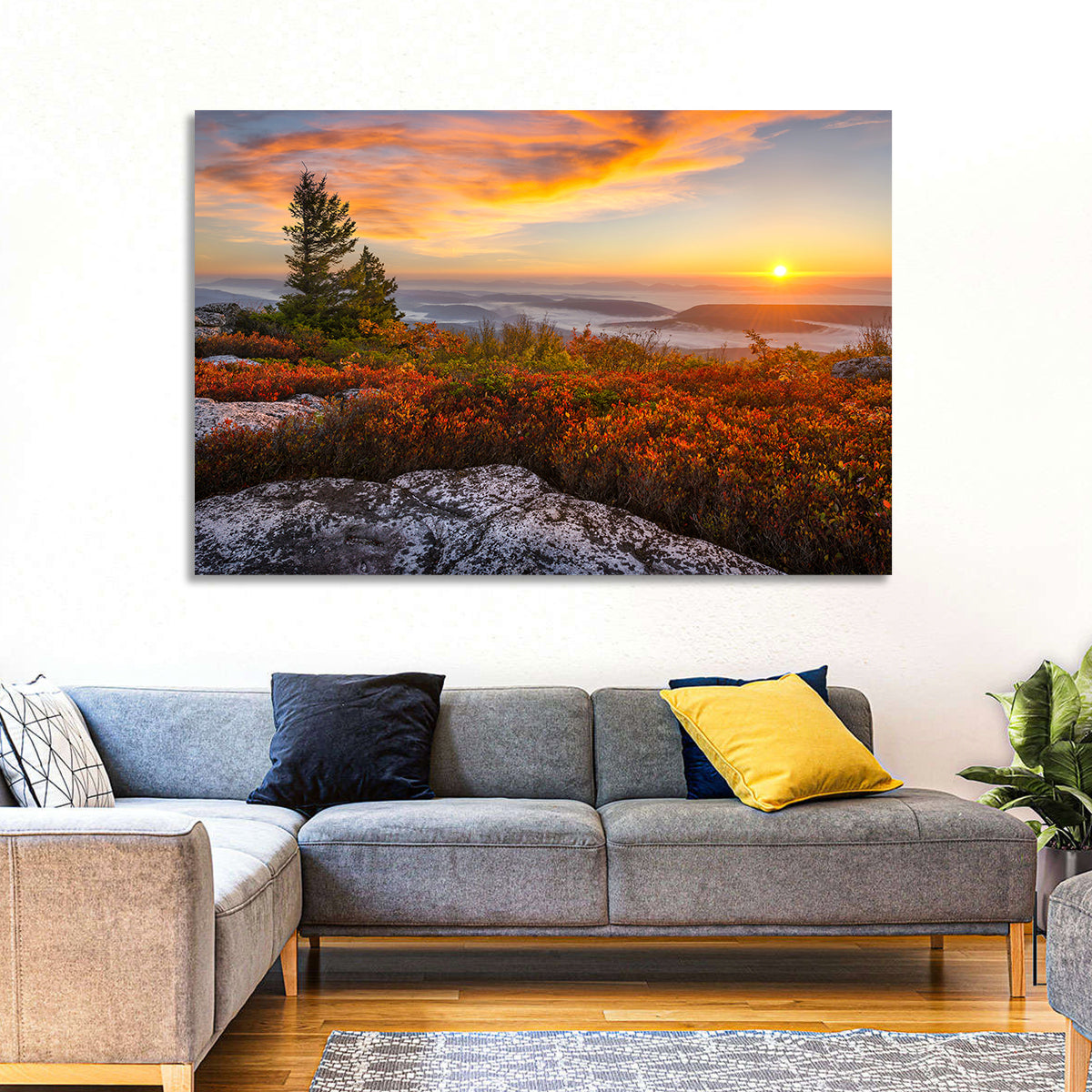 Sunrise Over Dolly Sods Wall Art in a room, landscape