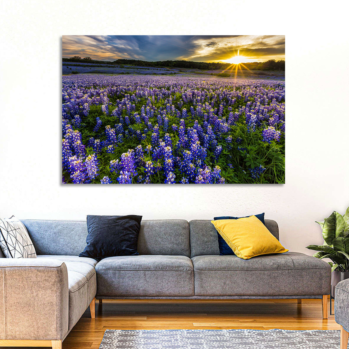 Texas Bluebonnet Field at Sunset Wall Art in a room, landscape