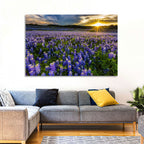Texas Bluebonnet Field at Sunset Wall Art