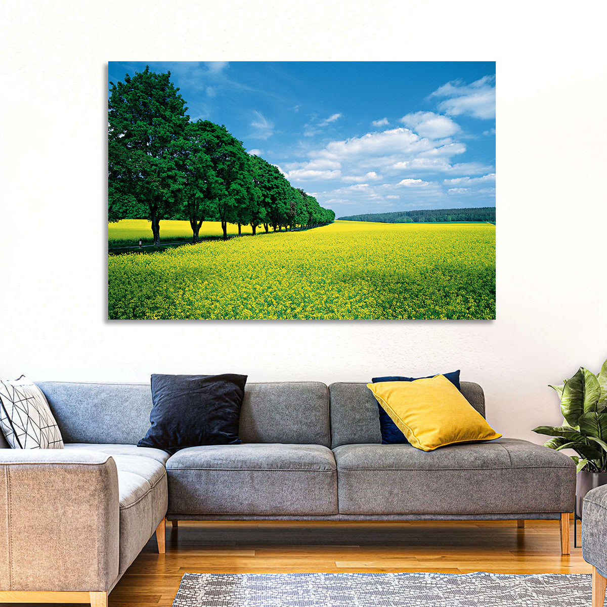 Spring Field of Yellow Flowers Wall Art in a room, landscape