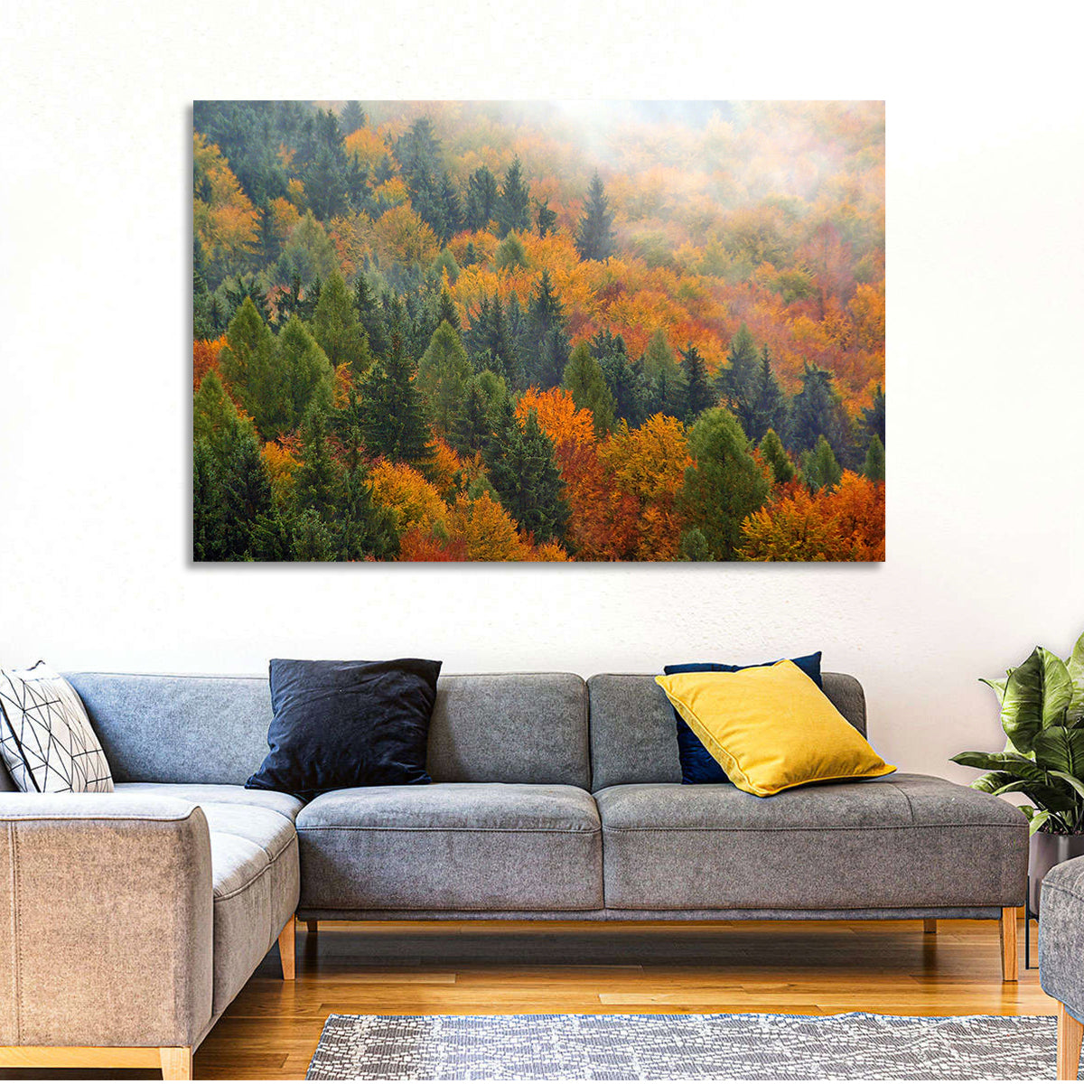 Misty Autumn Forestscape Wall Art in a room, landscape