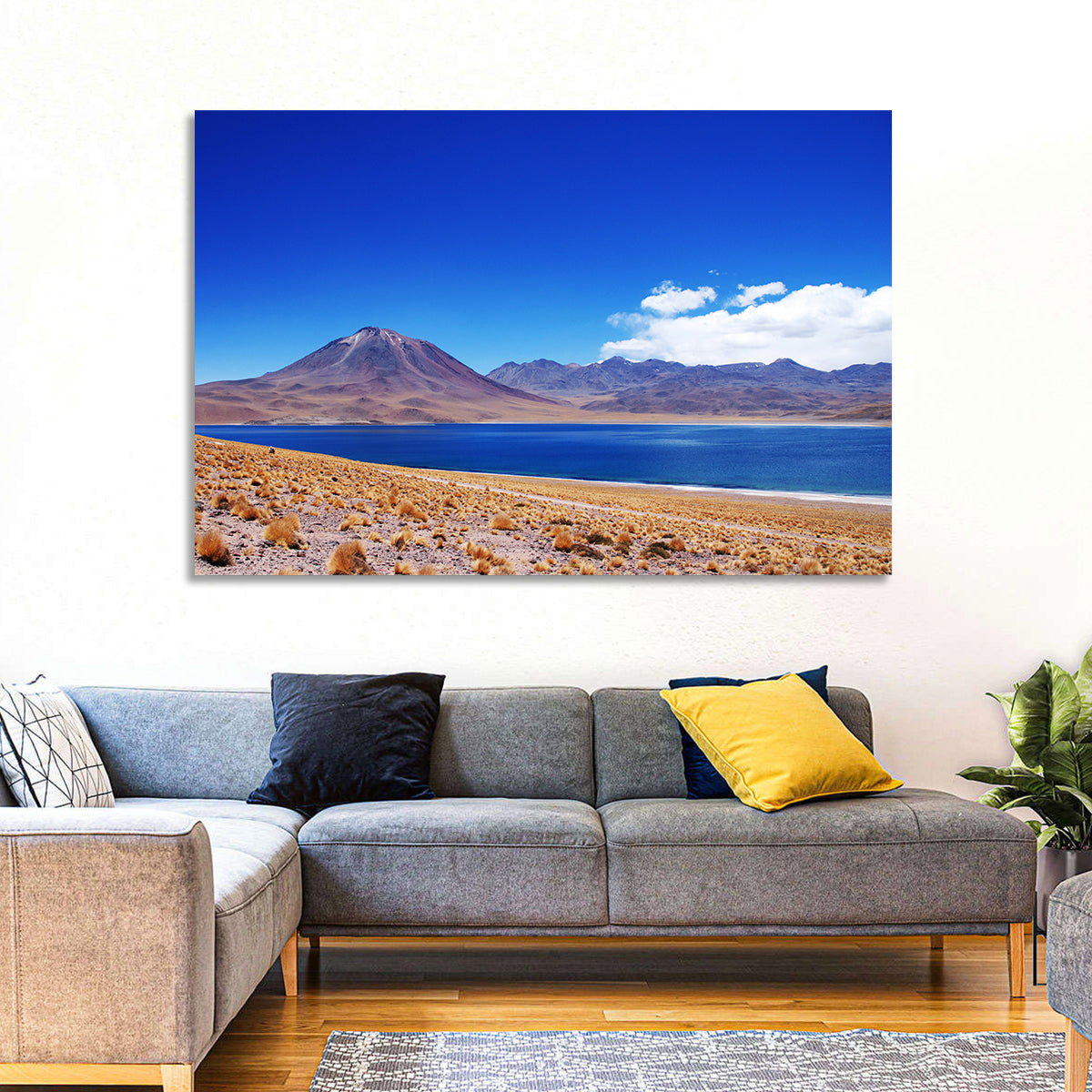Miscanti Lagoon and Miñiques Volcano Wall Art in a room, landscape