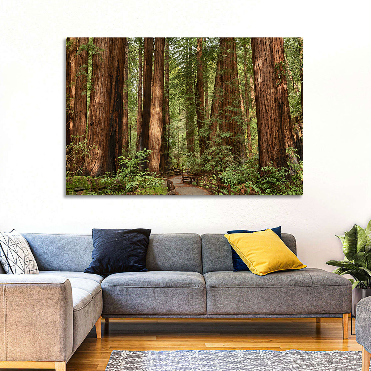 Muir Woods Redwood Trail Wall Art in a room, landscape