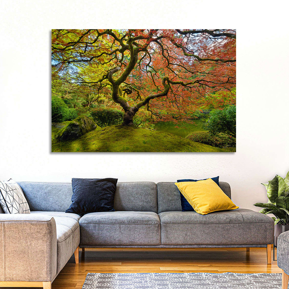 Gnarled Japanese Maple by Garden Pond Wall Art in a room, landscape