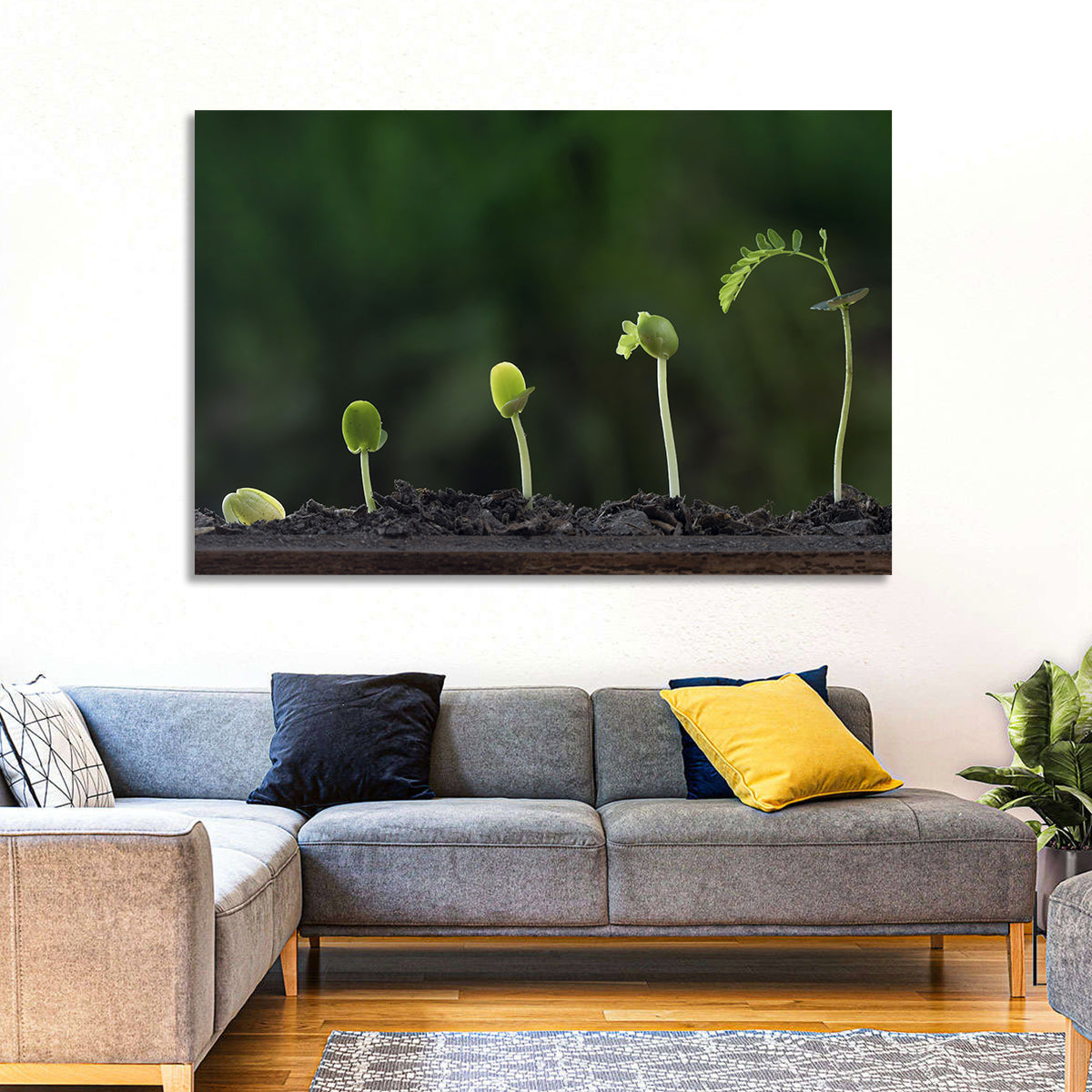 Five-stage Plant Growth Wall Art in a room, landscape