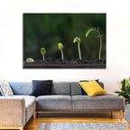 Five-stage Plant Growth Wall Art