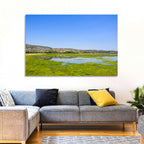 Uchali Lake Algae Reflection Wall Art