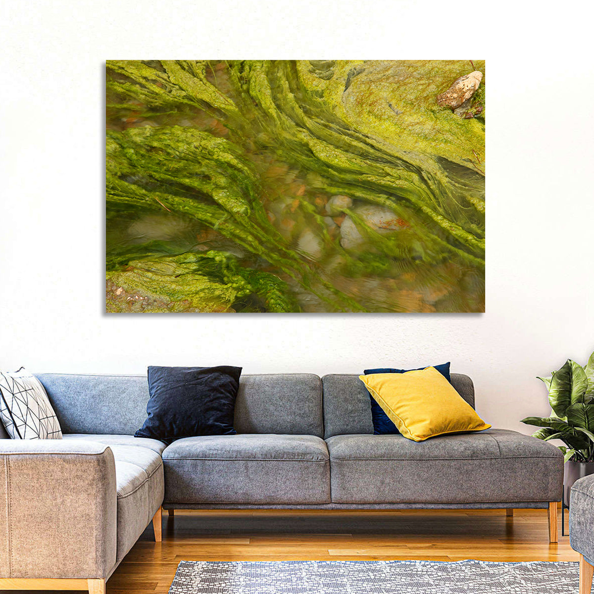 Macro Algae Stream Wall Art in a room, landscape