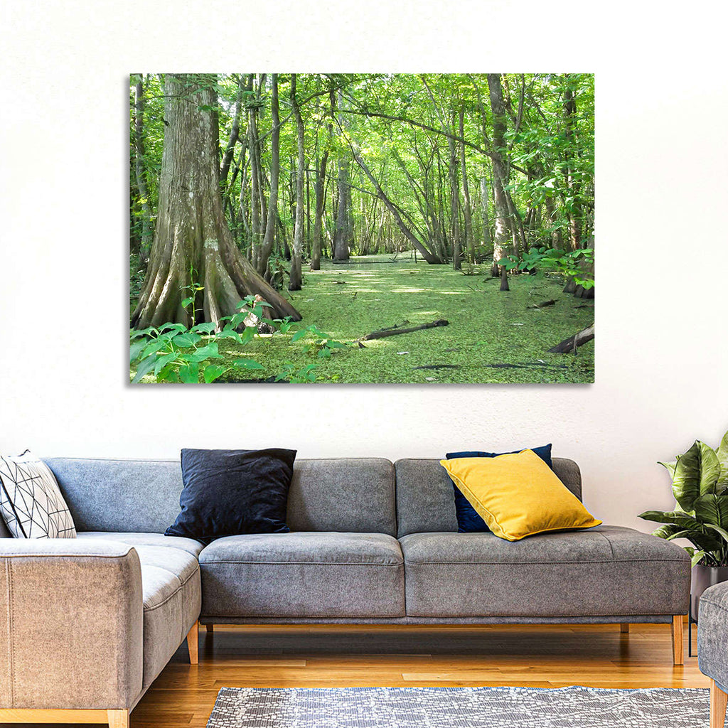 Summer Cypress Bayou, Louisiana Wall Art