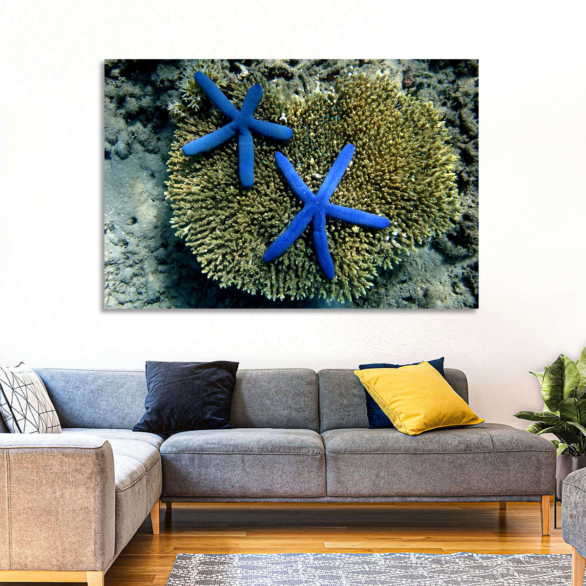 Blue Starfish Wall Art in a room, landscape