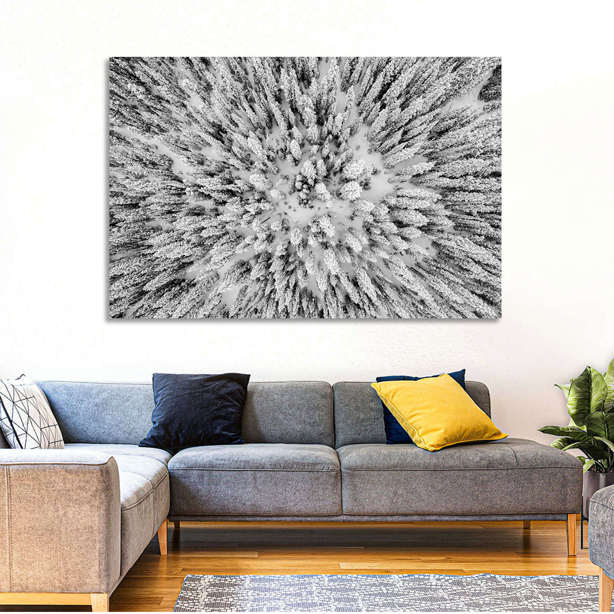 Snowy Aerial Forest Wall Art
