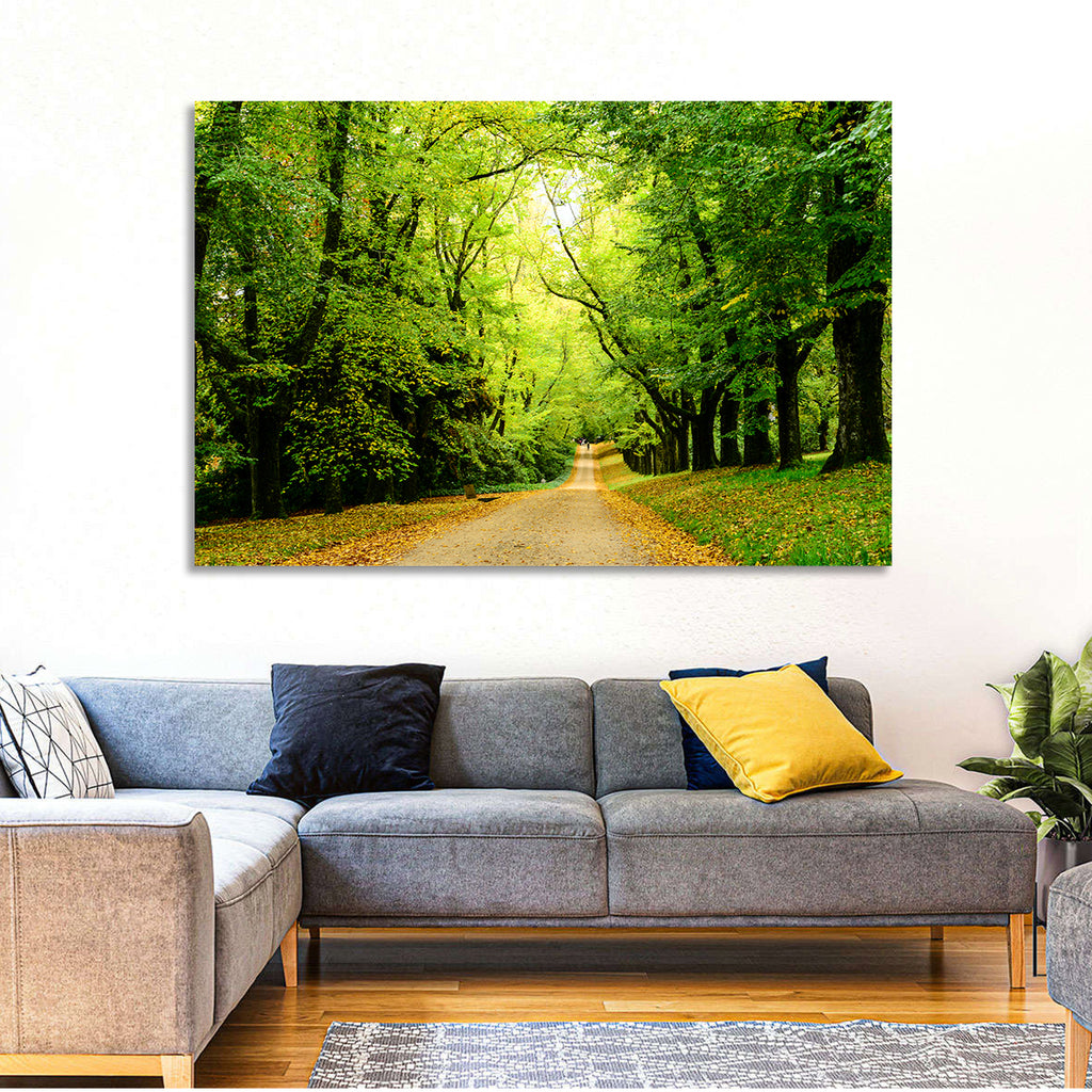 Sunlit Forest Pathway Wall Art