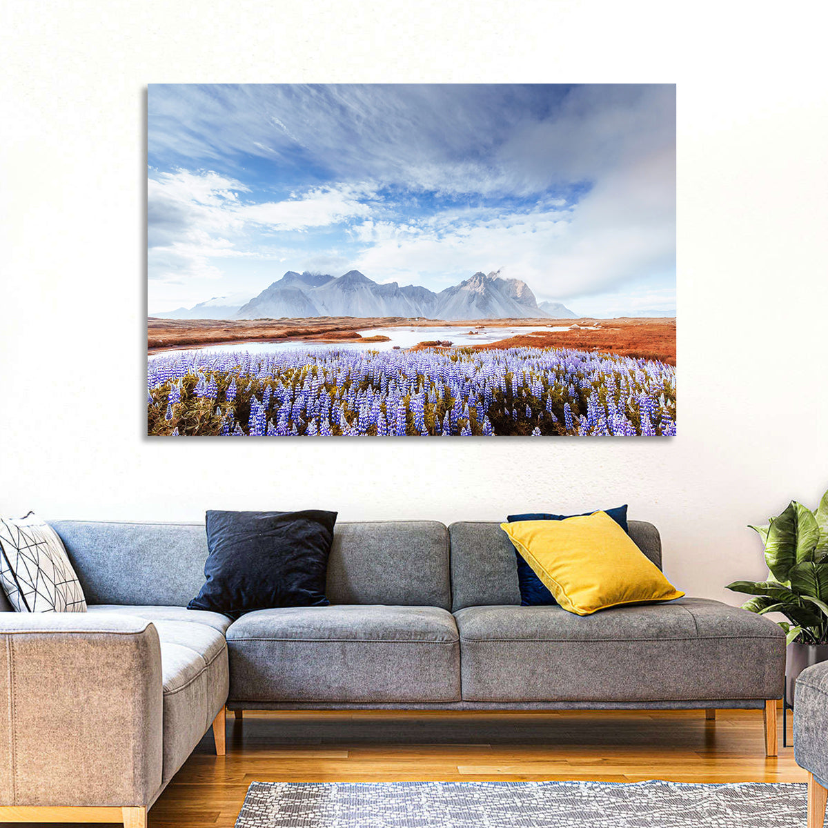 Lupine Fields at Vestrahorn Wall Art in a room, landscape