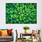 Whakarewarewa Forest Canopy Wall Art