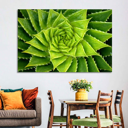 Spiral Aloe Wall Art