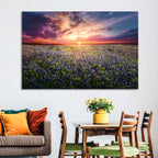 Texas Bluebonnet Sunset Wall Art