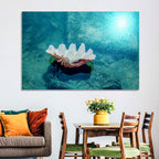 Giant Clam Shell Wall Art