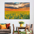 Golden Hour Sunflower Field Wall Art