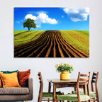 Plowed Field with Lone Tree Wall Art