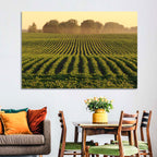 Misty Soybean Field at Dusk Wall Art