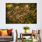 Aerial Curvy Forest Road Wall Art