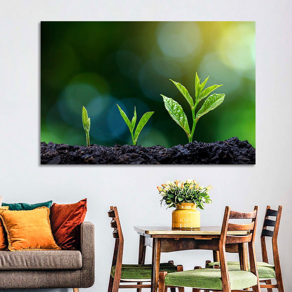 Seedling Growth Stages Wall Art