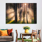 Sunrise Through Misty Forest Wall Art