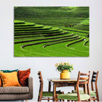 Lush Rice Terraces Wall Art