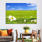 Spring Daisy Meadow Wall Art