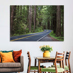 Winding Redwood Forest Road Wall Art