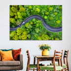 Winding Tropical Forest Road Wall Art