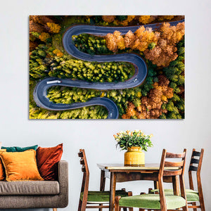 Winding Forest Road Wall Art