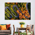 Autumn Aerial Mountain Road Wall Art