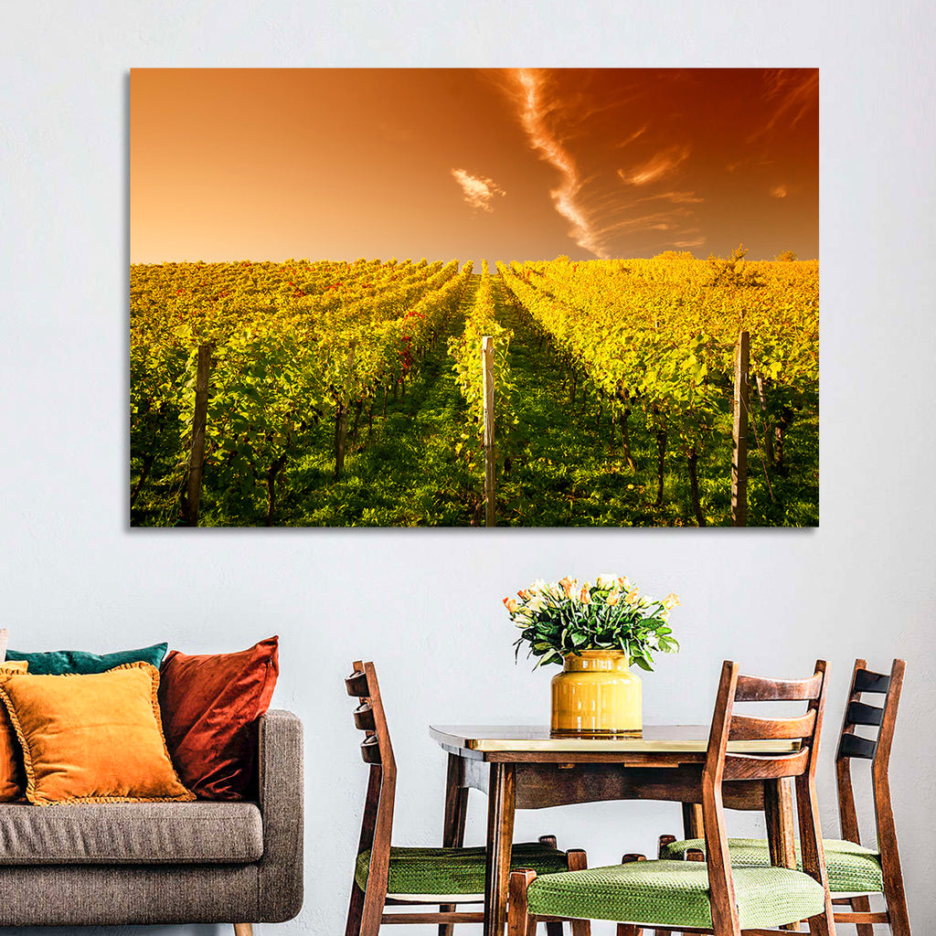 Golden Vineyard Sunset Wall Art