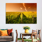 Golden Vineyard Sunset Wall Art