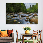 Lynn Canyon Riverbed Forest Wall Art