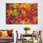 Autumn Maple Leaves Close-up Wall Art