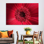 Red Gerbera Daisy Macro Close Up Wall Art