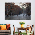 Caddo Lake Morning Mist Wall Art